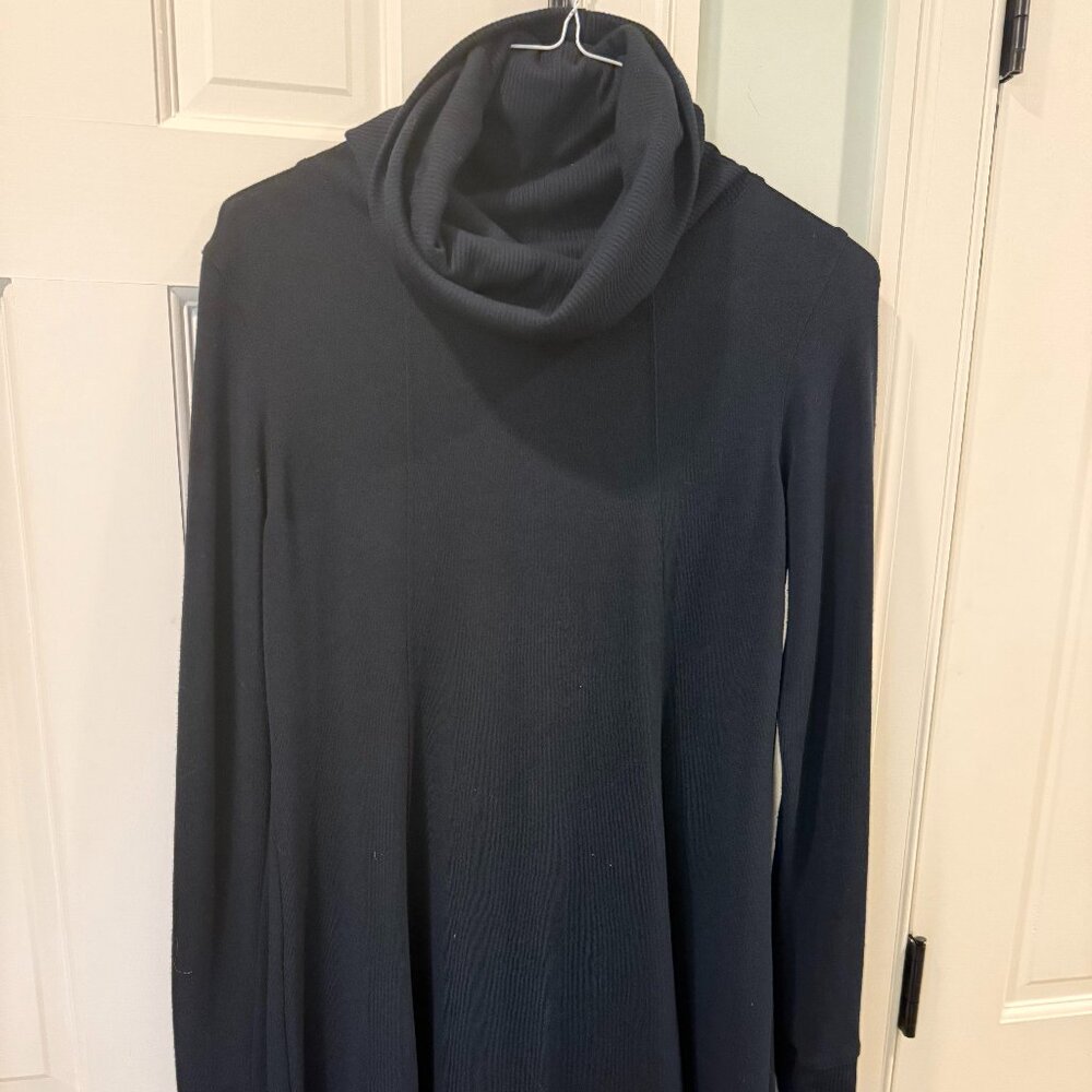 Cabi tutleneck dress